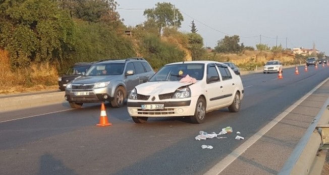 Aracın çarptığı kadın öldü
