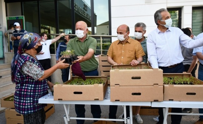 Ata tohumları toprakla buluşmaya devam ediyor